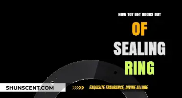 Freshening Up: Effective Tips to Eliminate Odors from Sealing Rings
