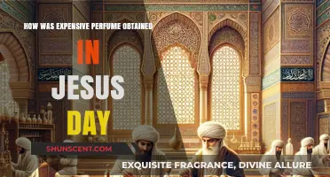 Jesus' Era: The Elusive, Expensive Perfume