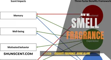 Unraveling the Science of Scent: How We Perceive Fragrance