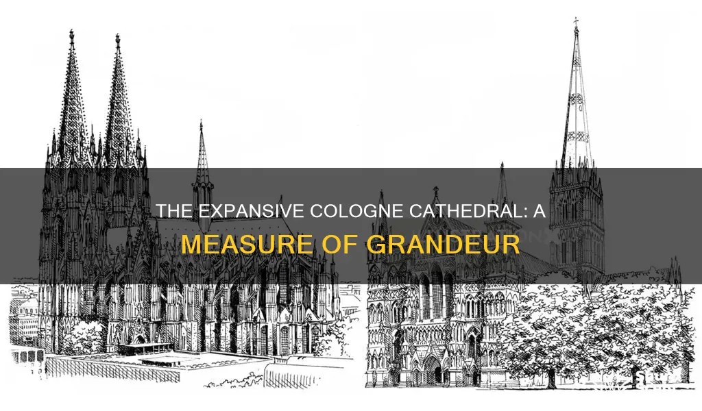 how wide is the cologne cathedral