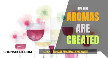 The Magic of Wine Aromas: A Complex Creation