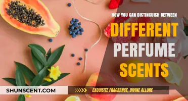 Perfume Scents: How to Identify Unique Fragrances