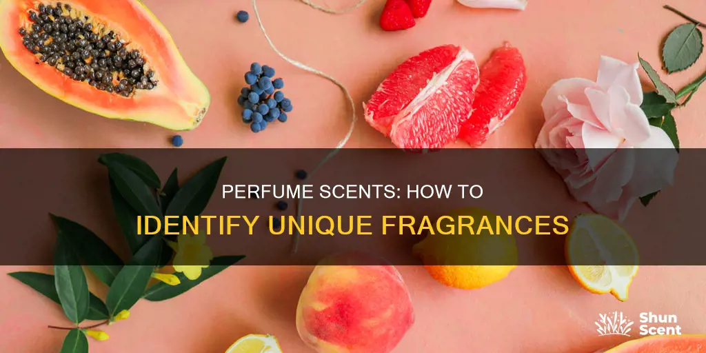 how you can distinguish between different perfume scents