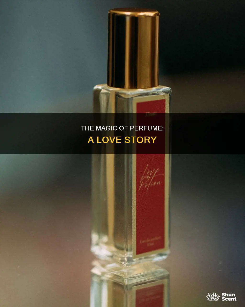 how you love perfume