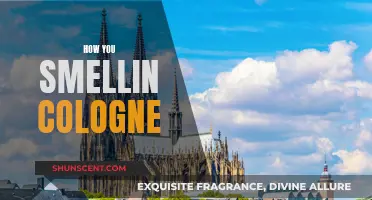 Choosing the Right Cologne: How You Smelling?