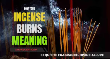 Incense Burning: The Meaning Behind the Smoke