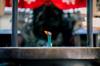 incense