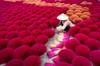 incense