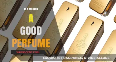 Perfume Review: Is 1 Million Worth It?