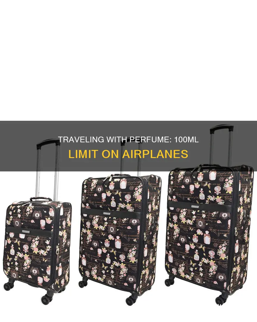 is 100 ml perfume allowed on an airplane