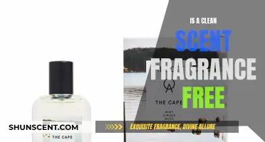 Clean Scent: The Truth About Fragrance-Free Products