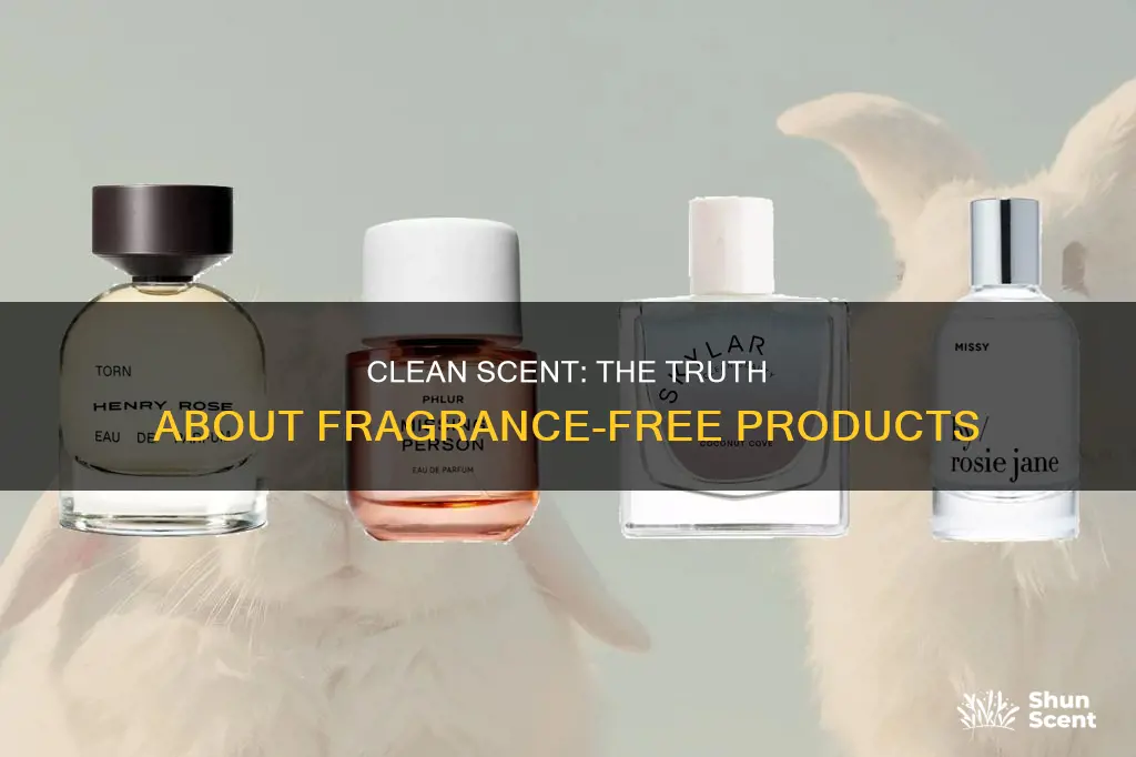 is a clean scent fragrance free