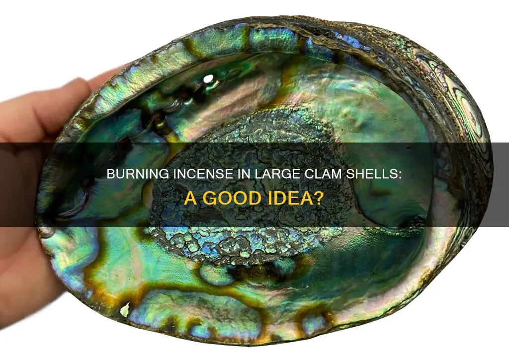 is a large clam shells good for burning incense