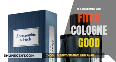 Abercrombie and Fitch: Are Their Colognes Worth the Hype?