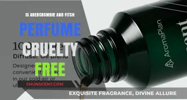Abercrombie & Fitch: Are Their Perfumes Cruelty-Free?