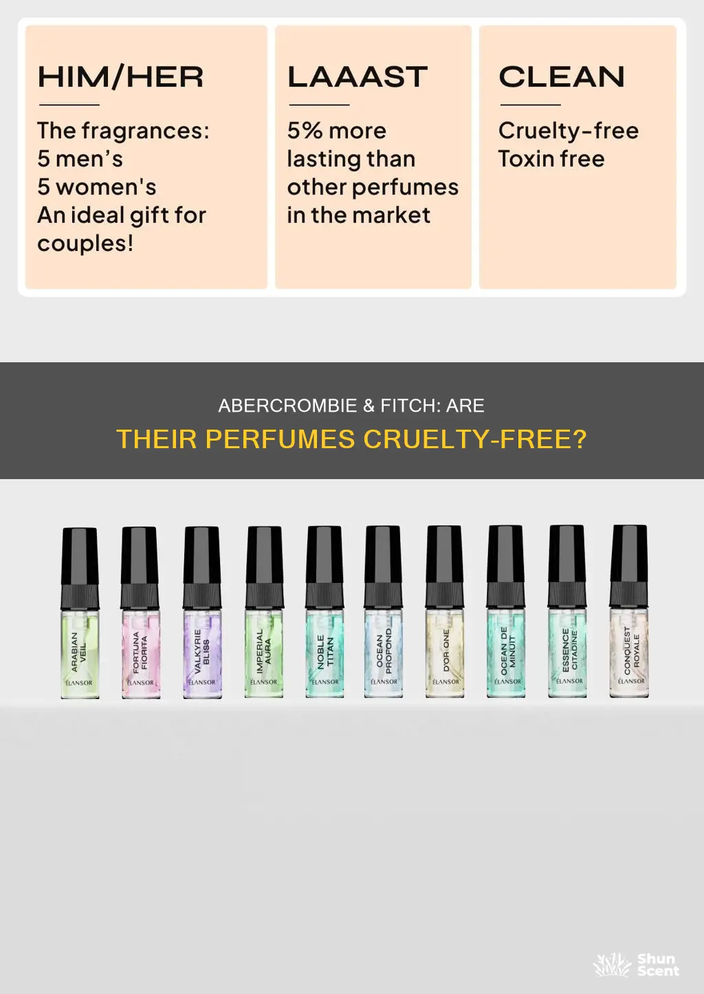 is abercrombie and fitch perfume cruelty free