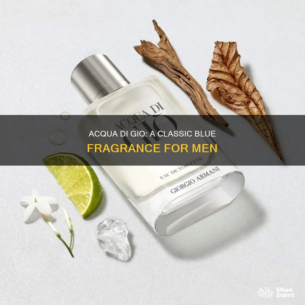 is acqua di gio a blue fragrance