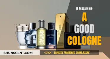 Acqua di Gio: A Timeless, Classic Cologne for Men?