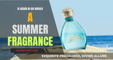 Acqua di Gio Absolue: Is It the Perfect Summer Scent?