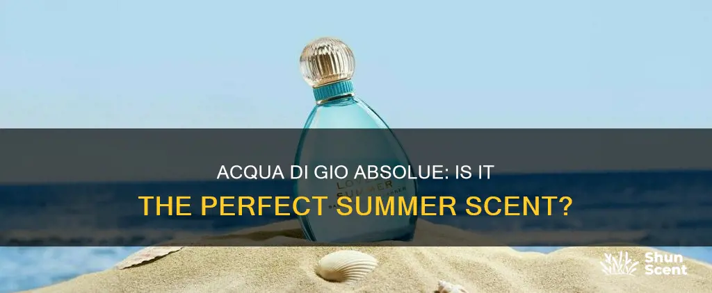 is acqua di gio absolu a summer fragrance