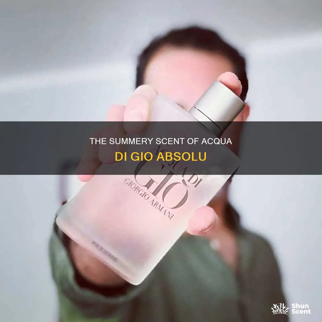 is acqua di gio absolu a summer fragrance