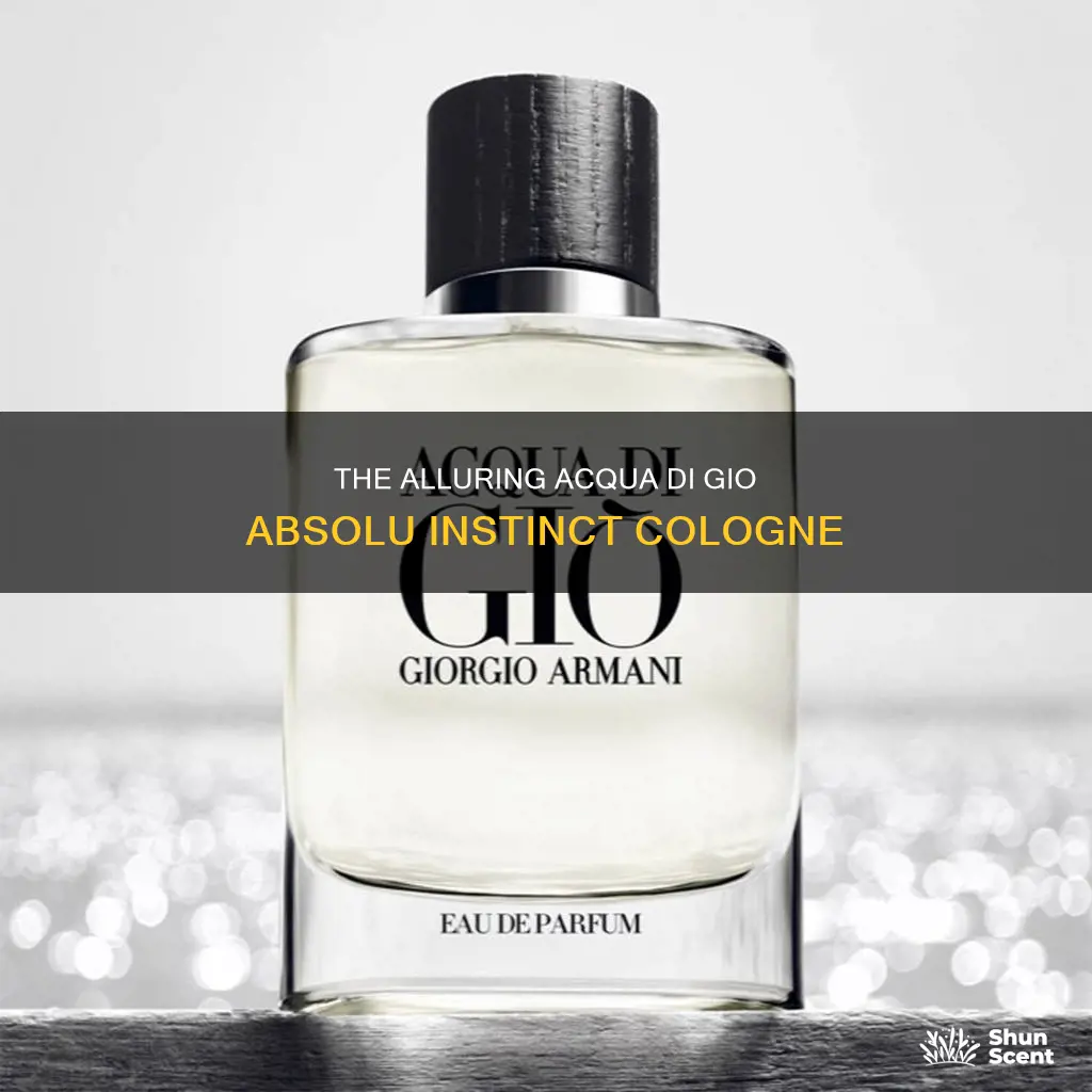 is acqua di gio absolu intinct cologne