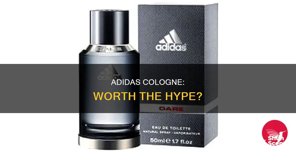 is adidas cologne good