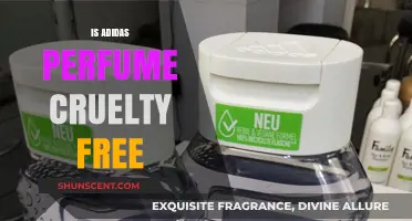 Adidas Perfume: Cruelty-Free or Not?