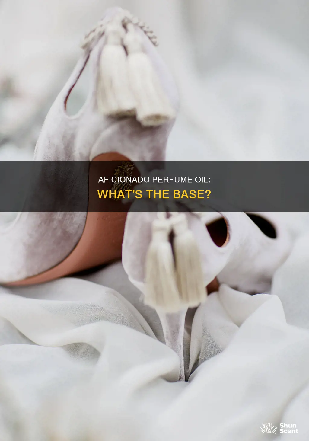 is aficionado perfume oil based
