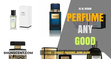 Al Rehab Perfumes: Are They Worth the Hype?