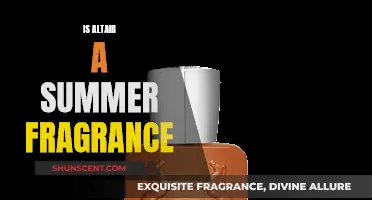 Altair's Summer Scent: A Fragrant Adventure