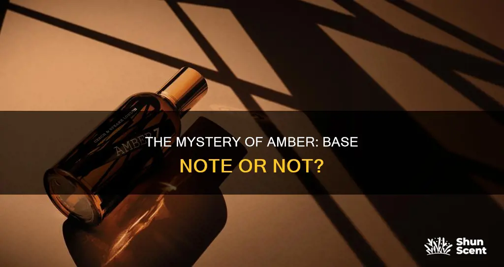 is amber a base note in perfume