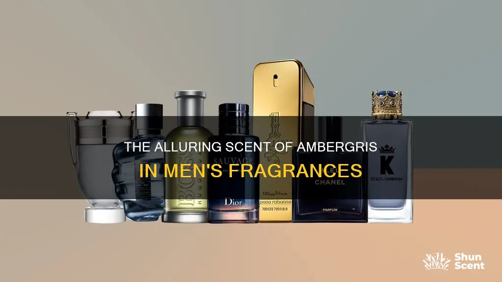 is amber gris used in men cologne