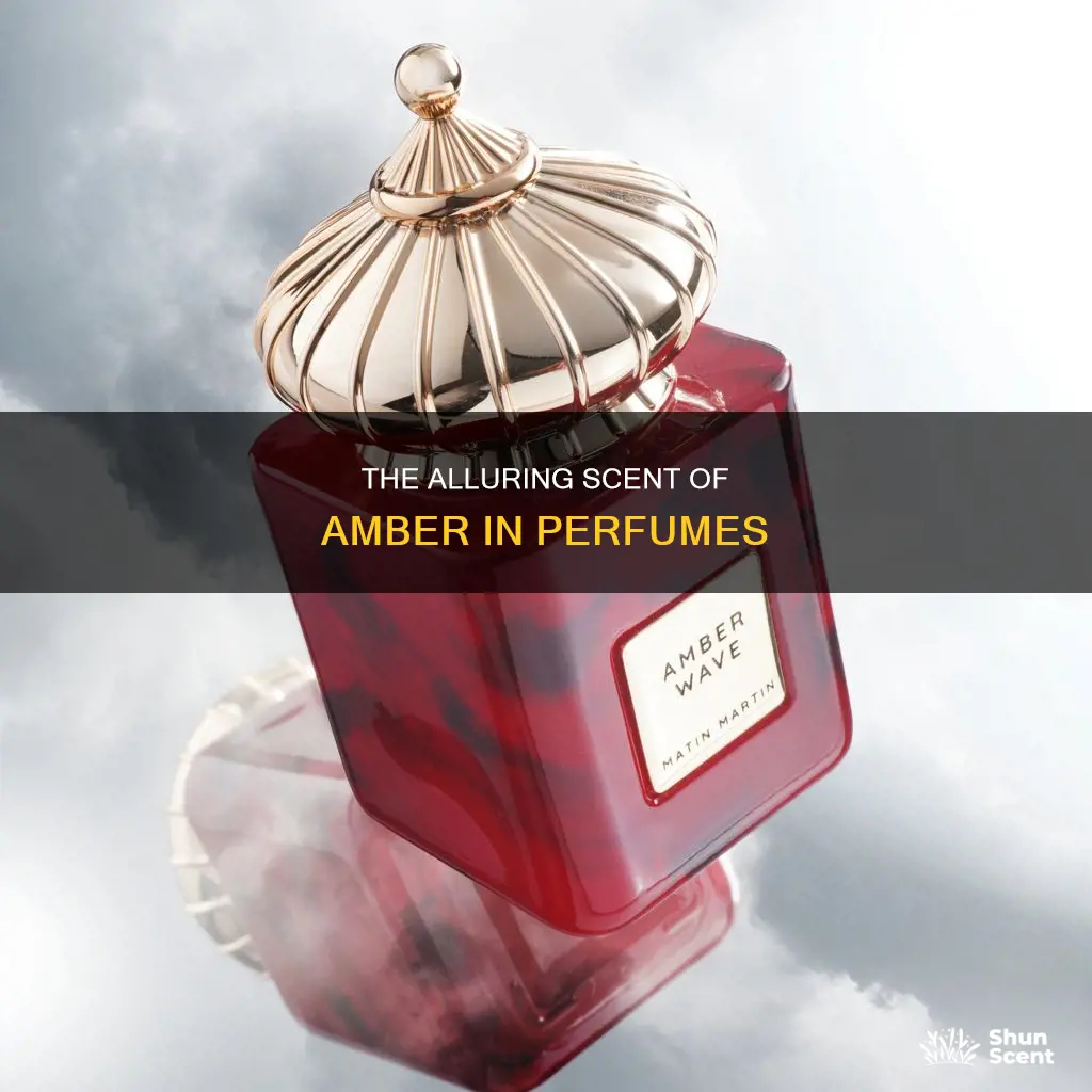 is amber used in perfume