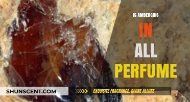 The Mystery of Ambergris in Perfumes