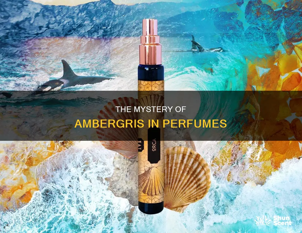 is ambergris in all perfume