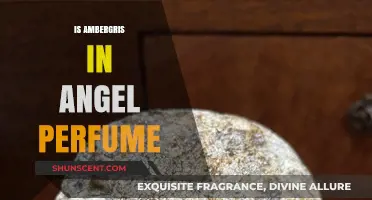Angel Perfume: Does It Contain Ambergris?
