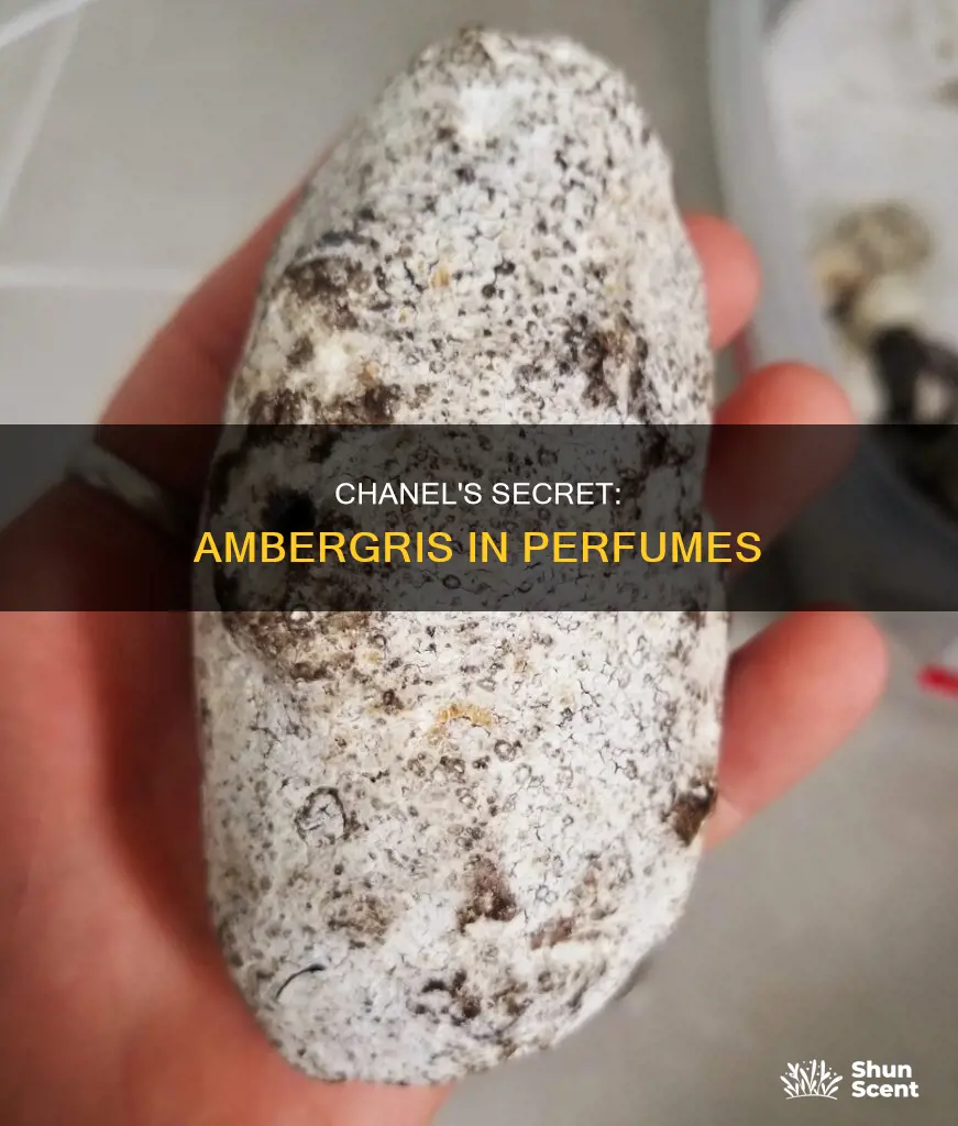 is ambergris in chanel perfume