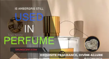 The Ancient Mystery of Ambergris in Modern Perfumes