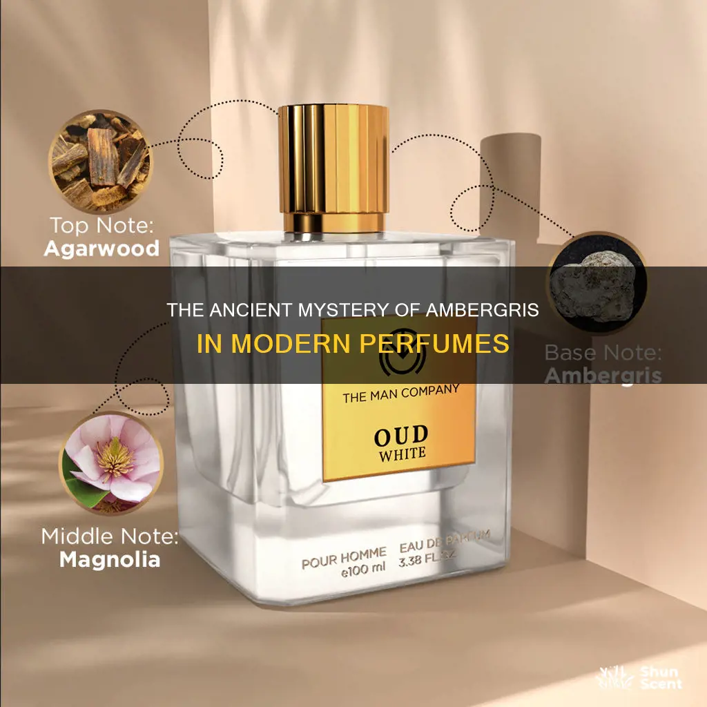 is ambergris still used in perfume