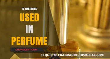 The Mystique of Ambergris in Perfumes