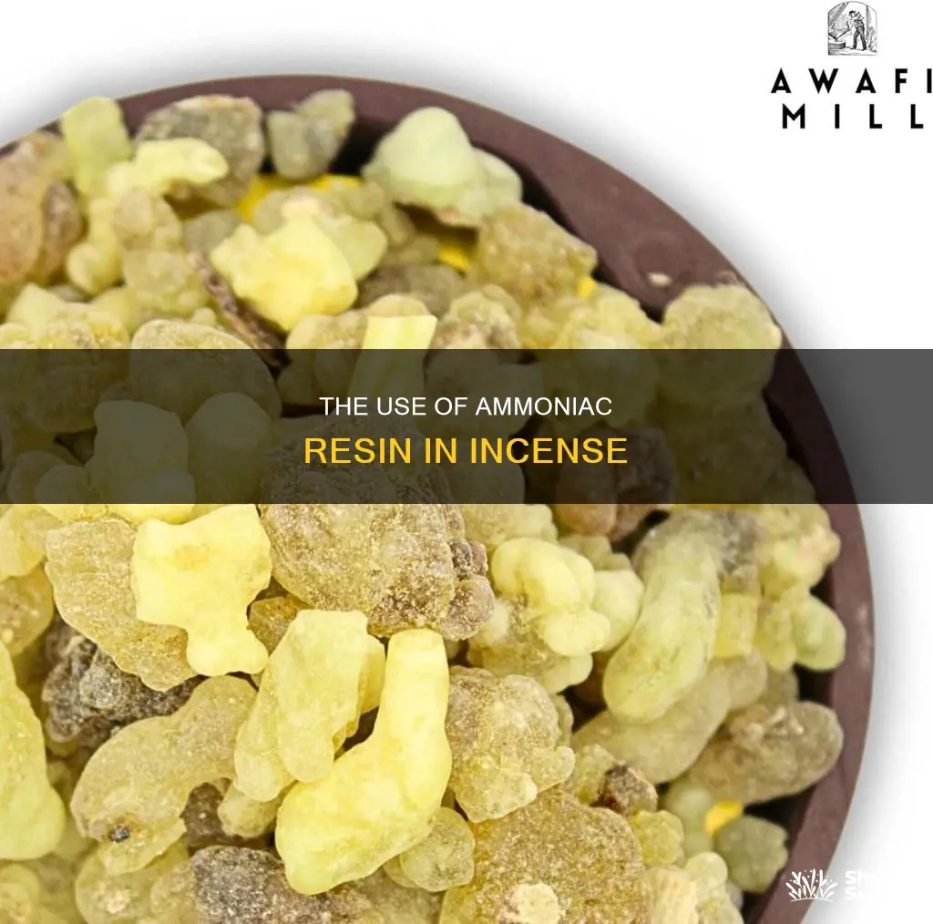 is ammoniac resin used for incense