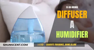 Aroma Diffusers: Humidifier or Not?