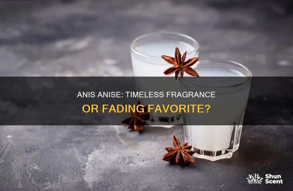 is anis anis fragrance still adored