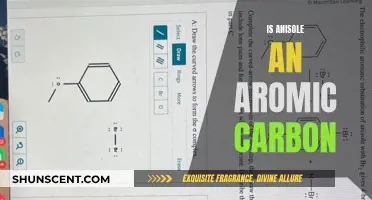 The Aromatic Nature of Anisole's Carbon Framework