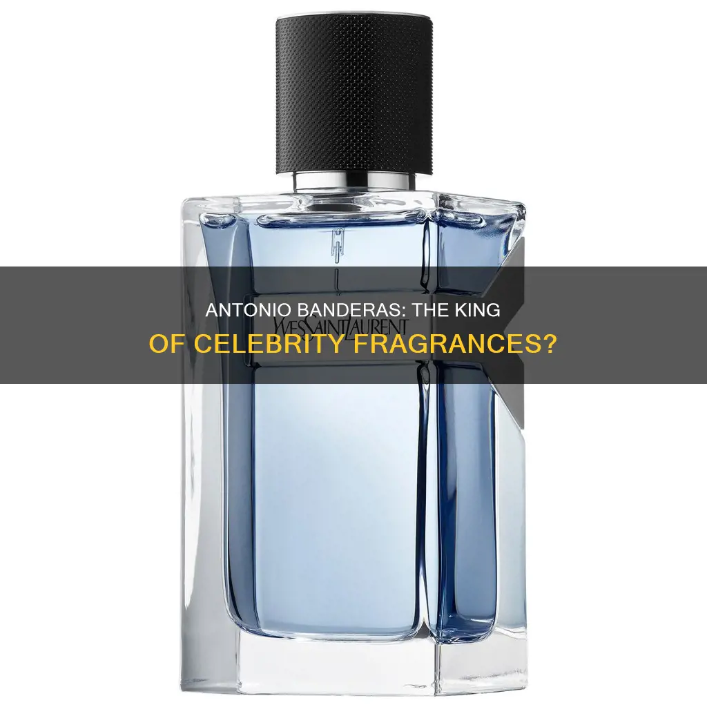 is antonio banderas fragrance the most popular celebrity cologne