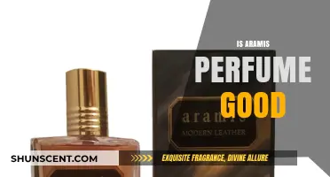 Aramis Perfume: Is It Worth the Hype?