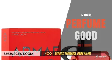 Armaf Perfumes: Are They Worth the Hype?