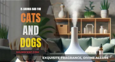 Aromas: Are They Harmful to Cats and Dogs?