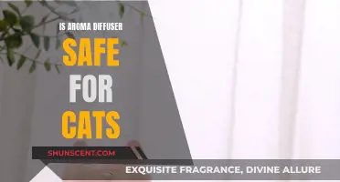 Aroma Diffusers and Cats: What's the Safety Verdict?